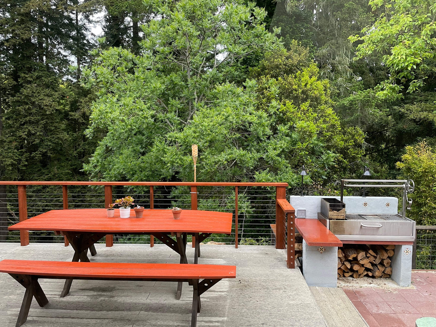 Tagwood BBQ Santa Maria Argentine Wood Fire & Charcoal Gaucho Grill Built in | BBQ05SS--