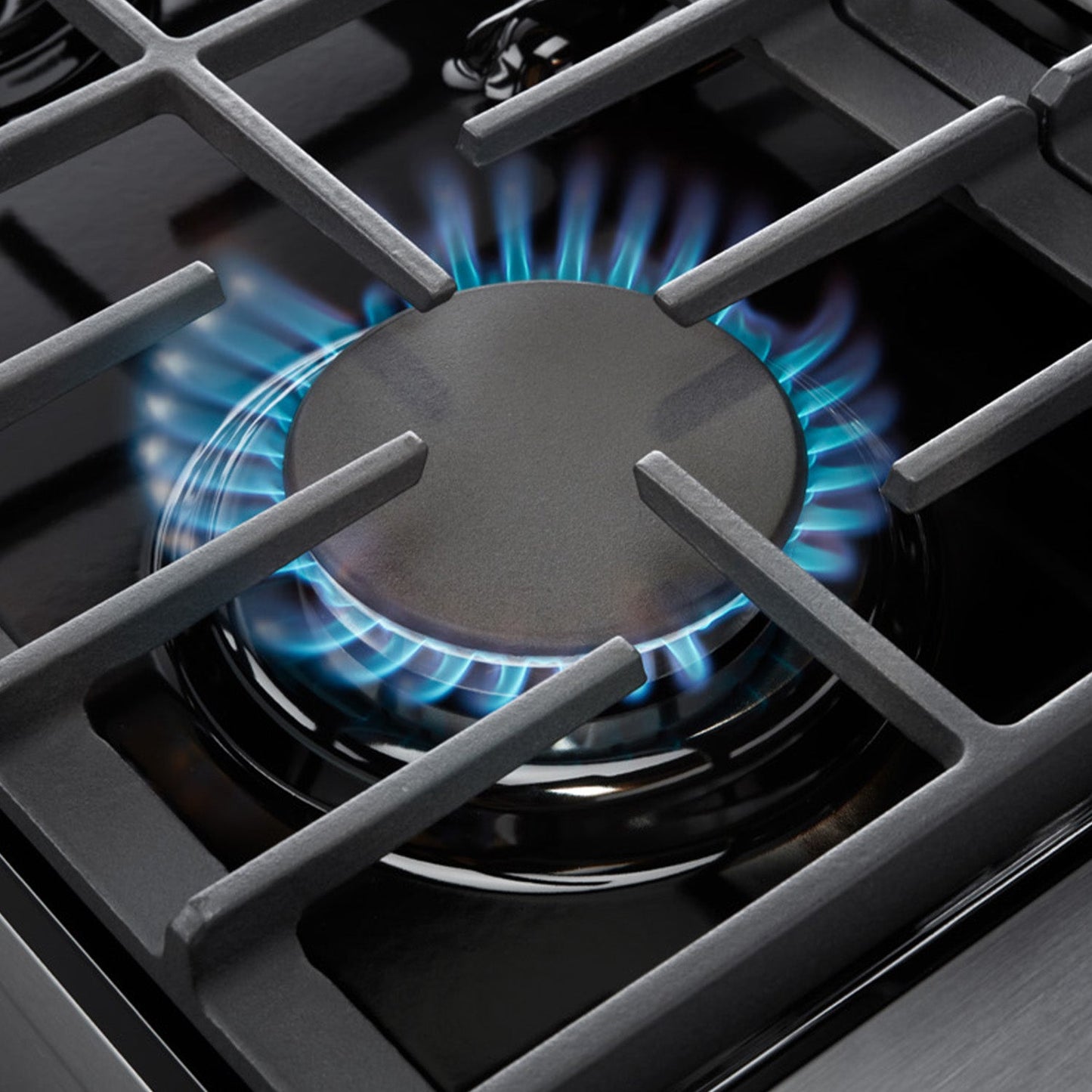 THOR Kitchen 48 in. 6.8 cu. ft. Double Oven Propane Gas Range in Stainless Steel, LRG4807ULP