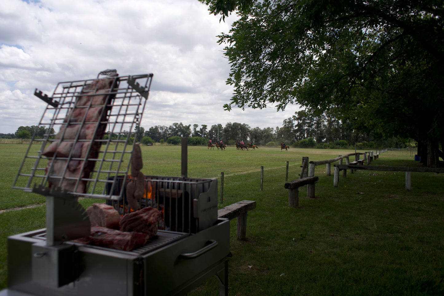 Tagwood BBQ Argentine Clamp Grill with firebox | BBQ33SS