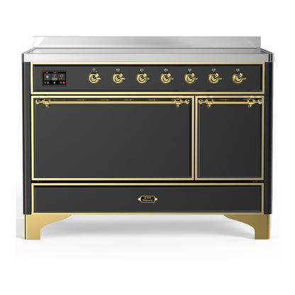 ILVE Majestic III 48" Graphite Matte Induction Range with 6 Elements Solid Door